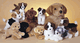 DOUGLAS CUDDLE TOYS, ALL SIZES