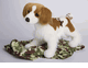 Isabel Brittany stuffed animal