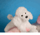 Misty White Poodle 14"