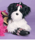 SHIH TZU Moonie 12"