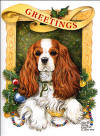 Cavalier 
