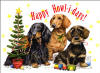 Dachshund Xmas Cards