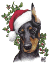 Doberman Santa